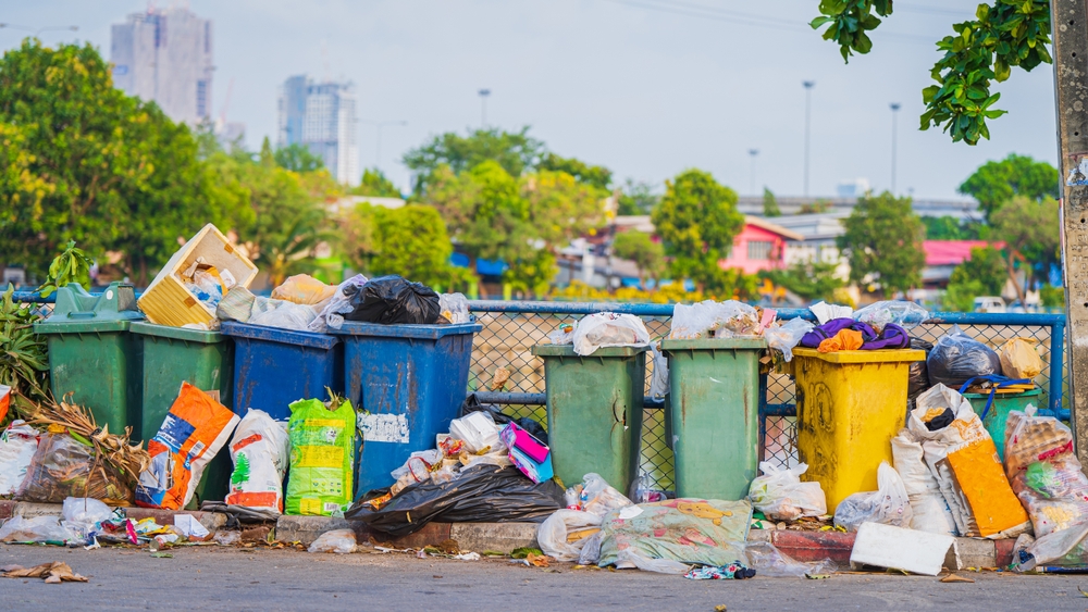 birmingham's bin strikes